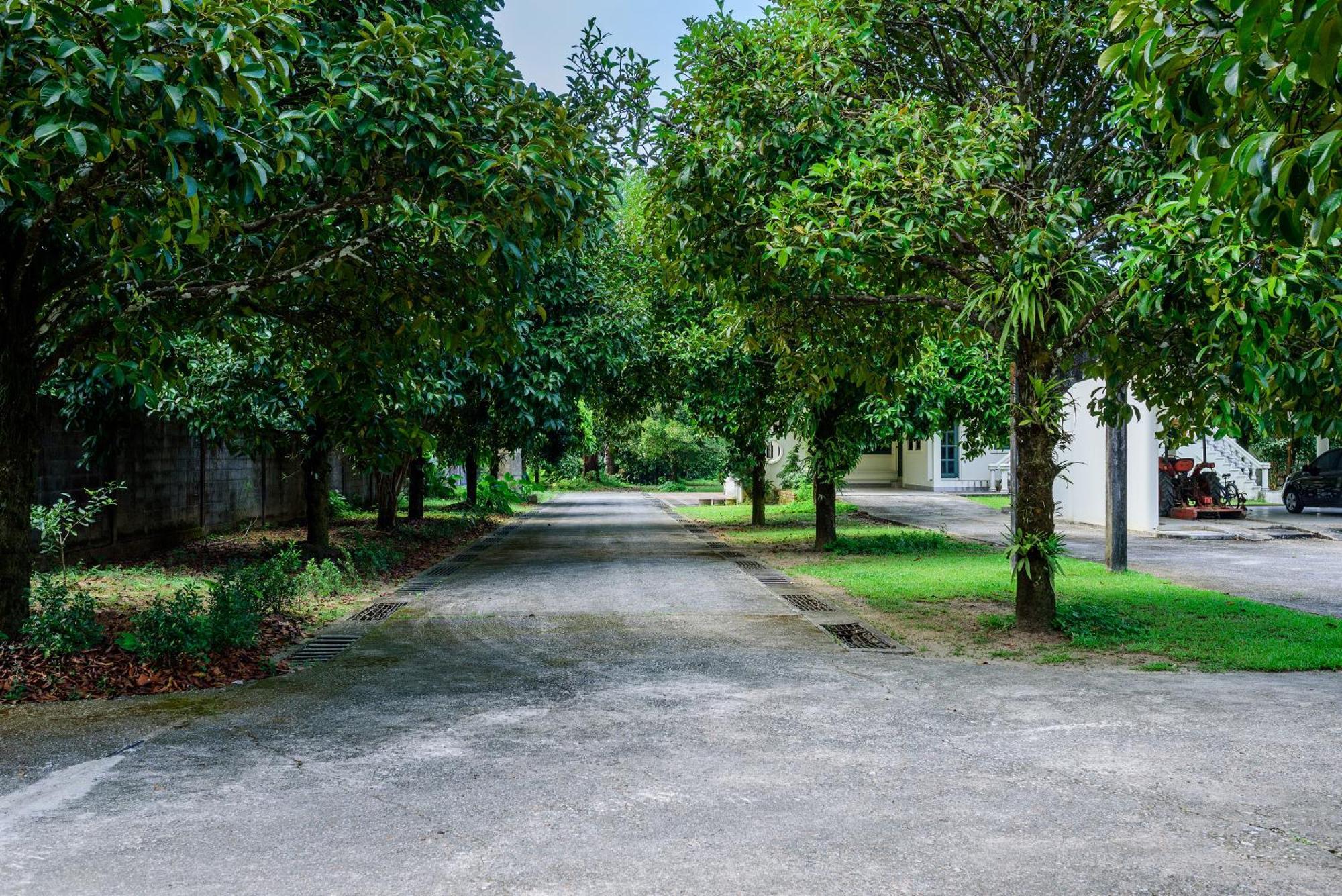 Bann Mangkud Khaolak Villa Khao Lak Exterior foto